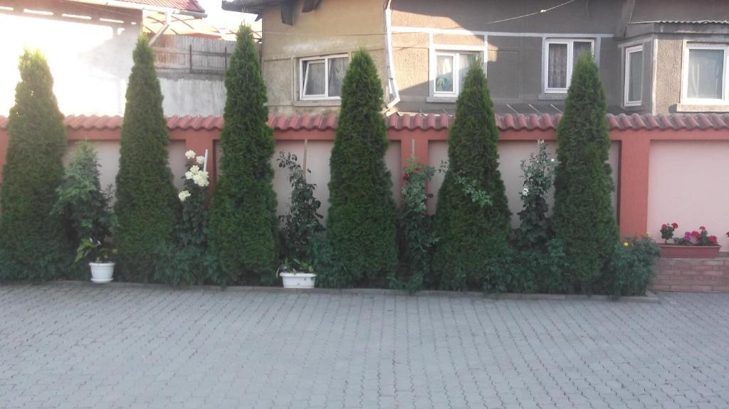Pensiunea Neptun Алба-Юлия Экстерьер фото
